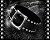 Sinz | Belted Armband L