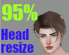 95% Head resize