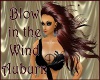[BM]Blow Wind Auburn