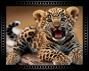 🐆 Leopard Cub BG