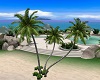 Bahia Palm Tree 2