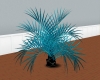 [LZ] Plant Palm 01