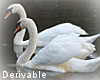 Animated Swan x 2