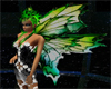 green fairy wings