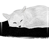 [R]Sleeping Cat White