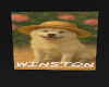 winston