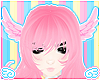 pink head wings ★