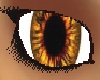 Brown yellow eyes F