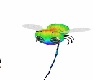 Rainbow Bee Pet