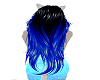 Kittens Blue Hair
