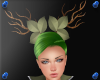 *S* Nature Antlers 2