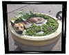 LG-Dog in planter