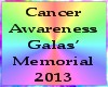 * CA Gala Memorials 2013