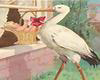 Stork & Baby in Frame