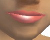 Lipstick - Shell (Nat.)