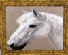 {AL} White Horse Picture