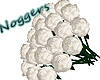 Picked White Roses