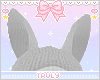 ・ﾟ✧ Totoro Ears
