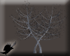 Crow tree