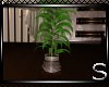!!Halo Plant 2