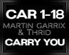 Martin Garrix Carry You