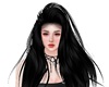 SY Shernny Black