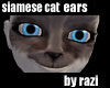 Siamese Neko Ears
