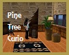 Pine Tree Curio 