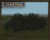 JL Derriaran Bush