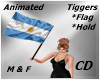 CD Bandera Argentina MF