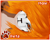 [Pets] Saber | hair v6
