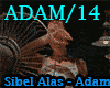 Sibel Alas - Adam