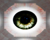 (MR)Eyes Green Male