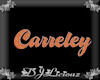 DJLFrames-Carreley Orang