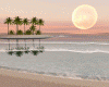 [kk] Love Island