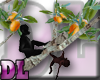 DL: Primate Tree