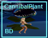 [BD] CannibalPlant