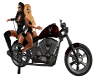 Harley Bike