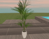 DER: Plant