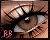 BB|Soft Brown Eyes