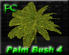 FC-Palm Bush 4