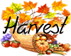 ~Harvest Avi Frame~