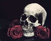 skull and roses pic
