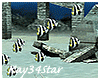 Under Sea Angel Fish