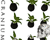 ♆. blk potted plants