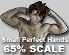 Hands Scaler 65%