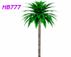 HB777 Holiday Palm V2