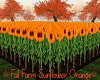 Fall Farm Sunflow Orange