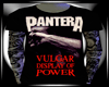 .R3. Shirt Pantera