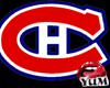 /Y/Double NHL Logo 1